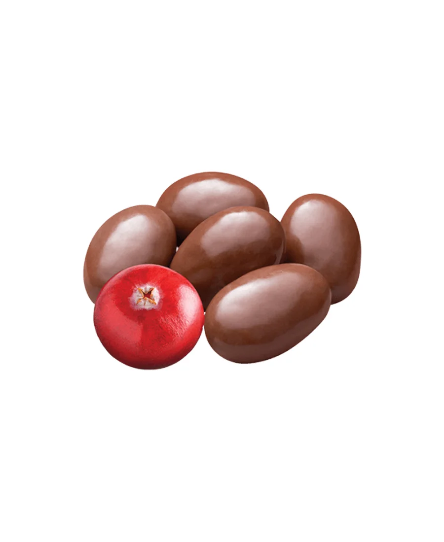 Arándanos cubiertas de chocolate Turín de 500 g